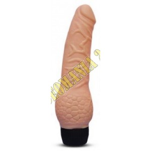 /513-791-thickbox/vibratore-eco.jpg